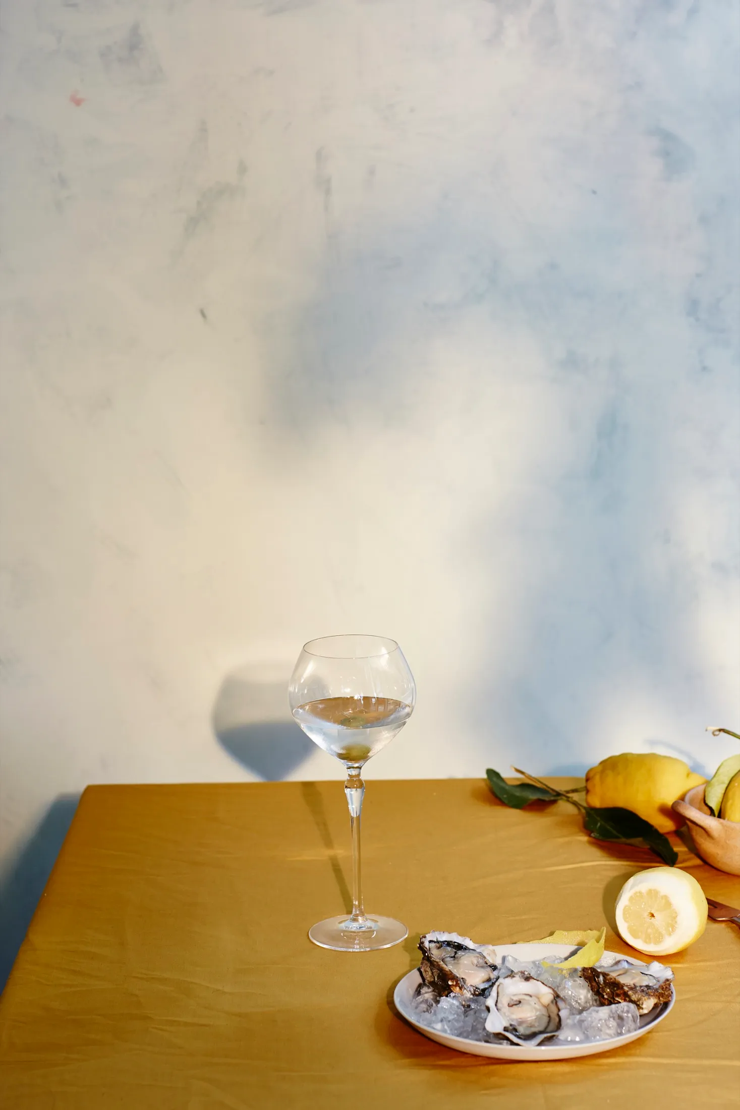 Apertivo Martini Summer Drinks