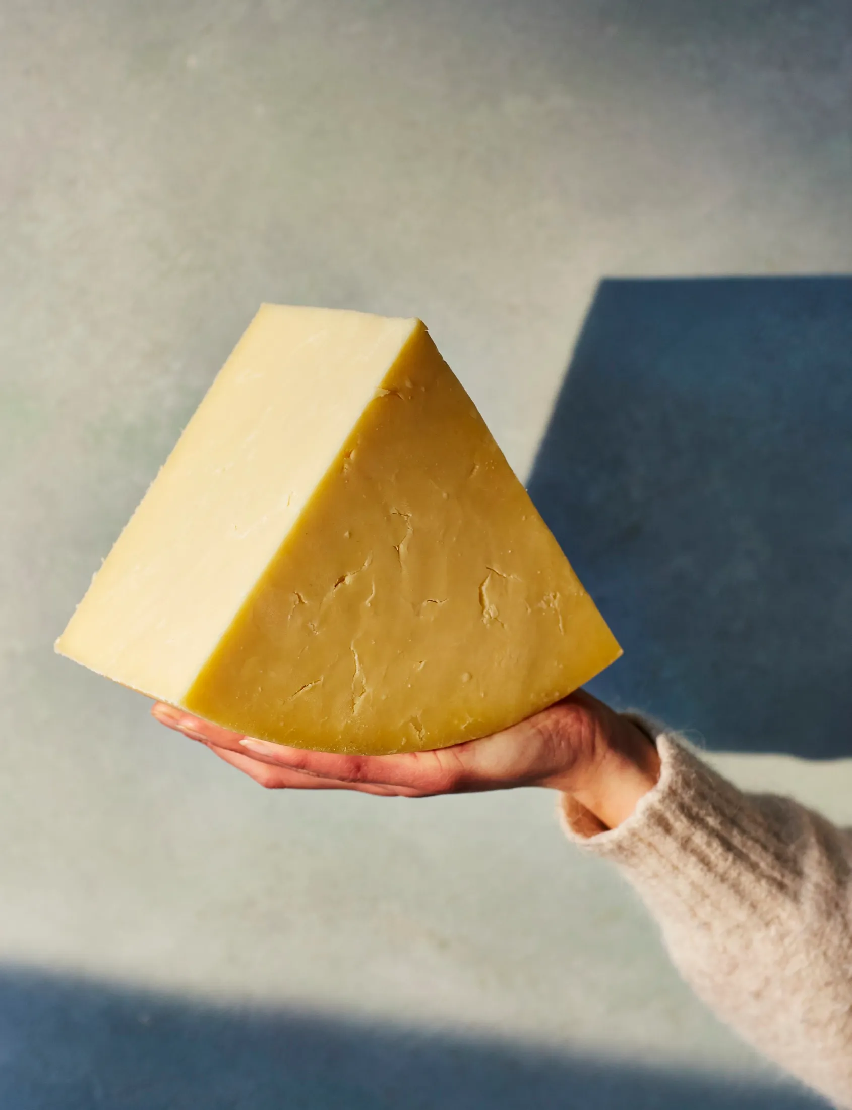 The Cheese Life — Mathew Carver & Patrick McGuigan