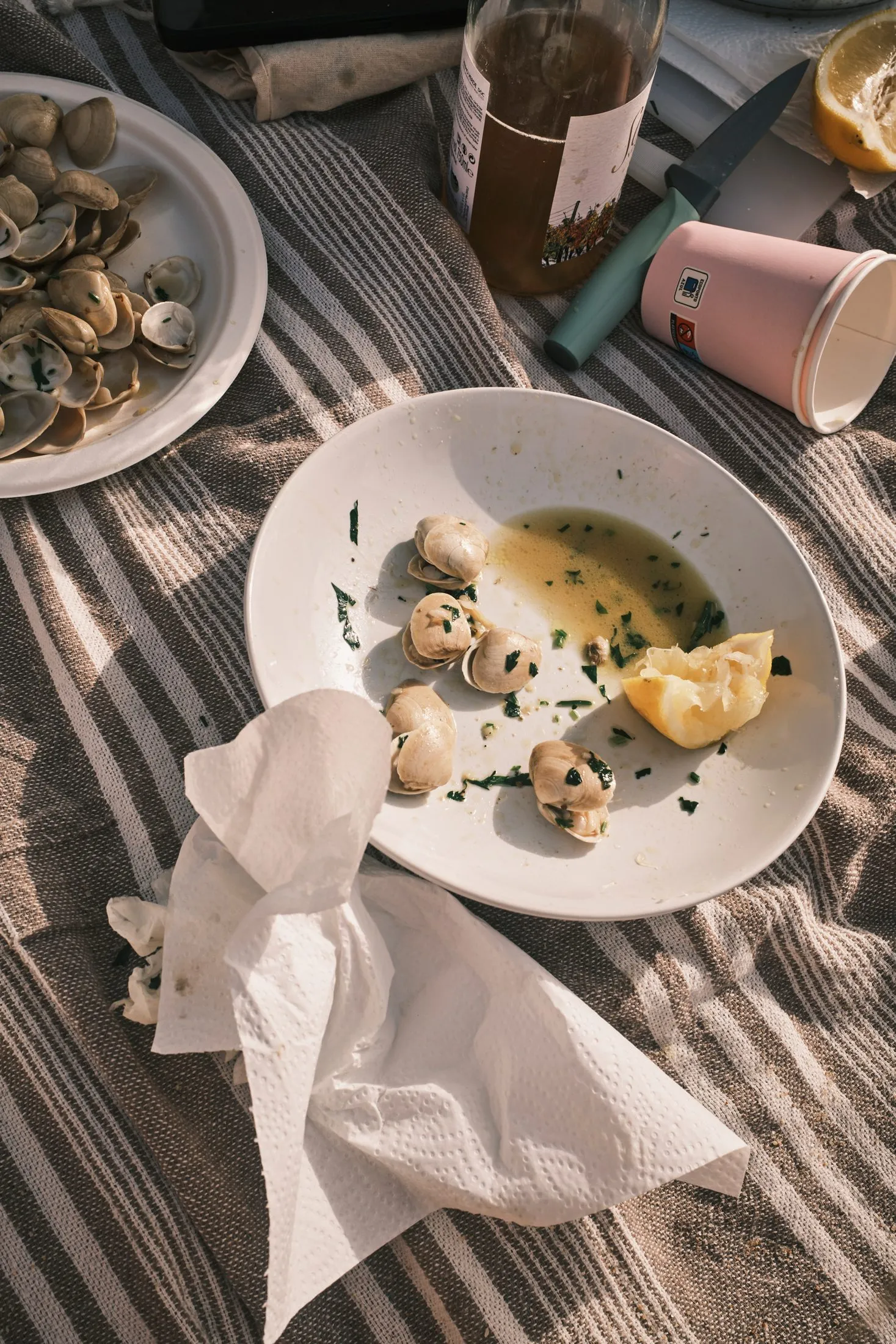 Clams Picnic Lisbon Lifestyle