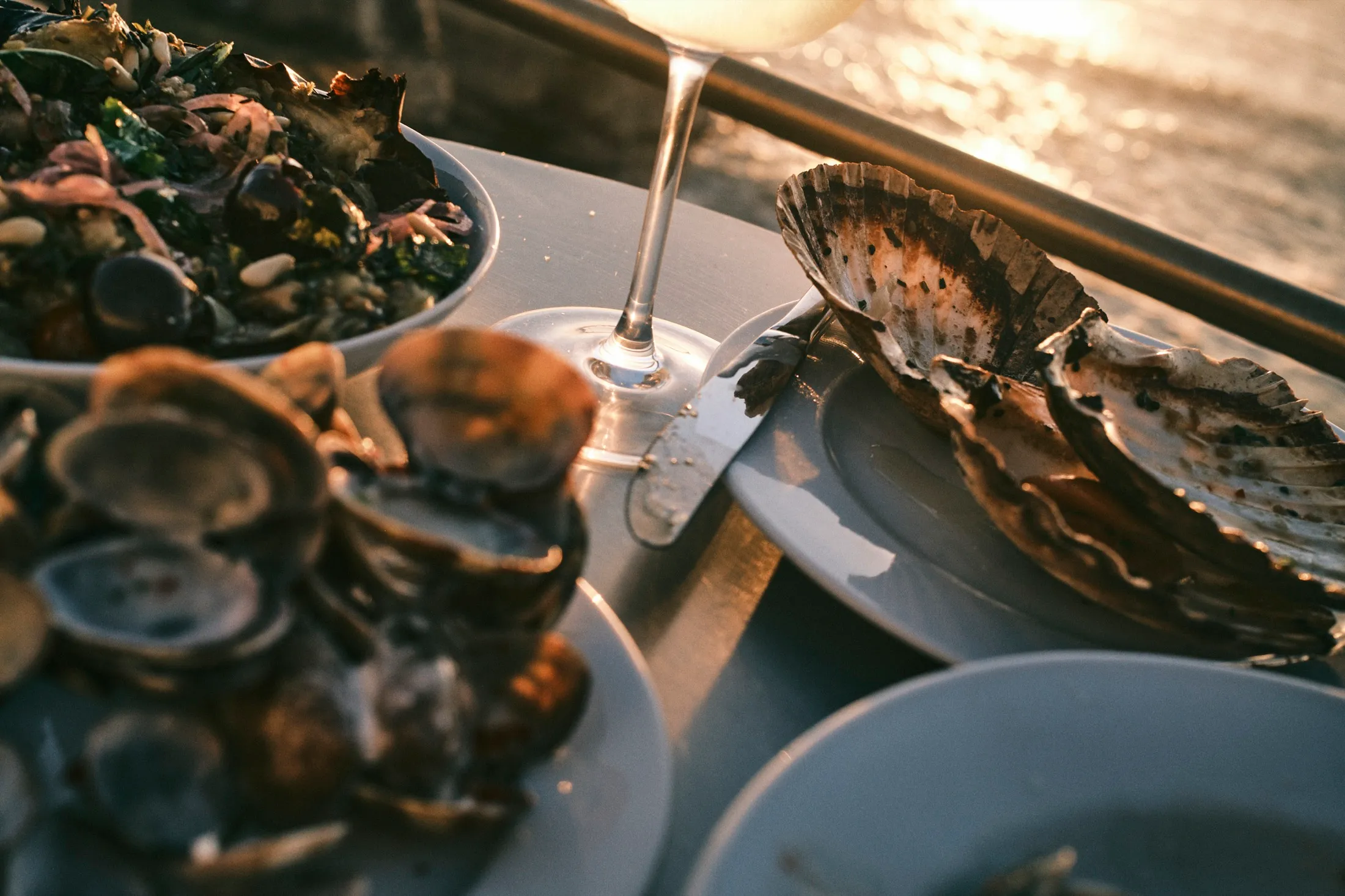 Clams Scallops Beach Lisbon
