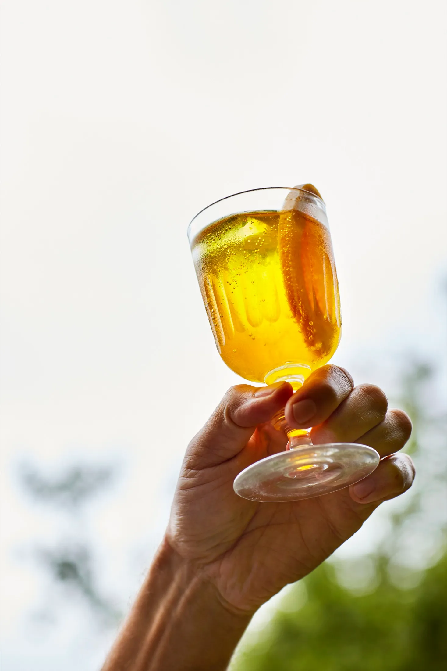 Drink Garden Phyto Nectars