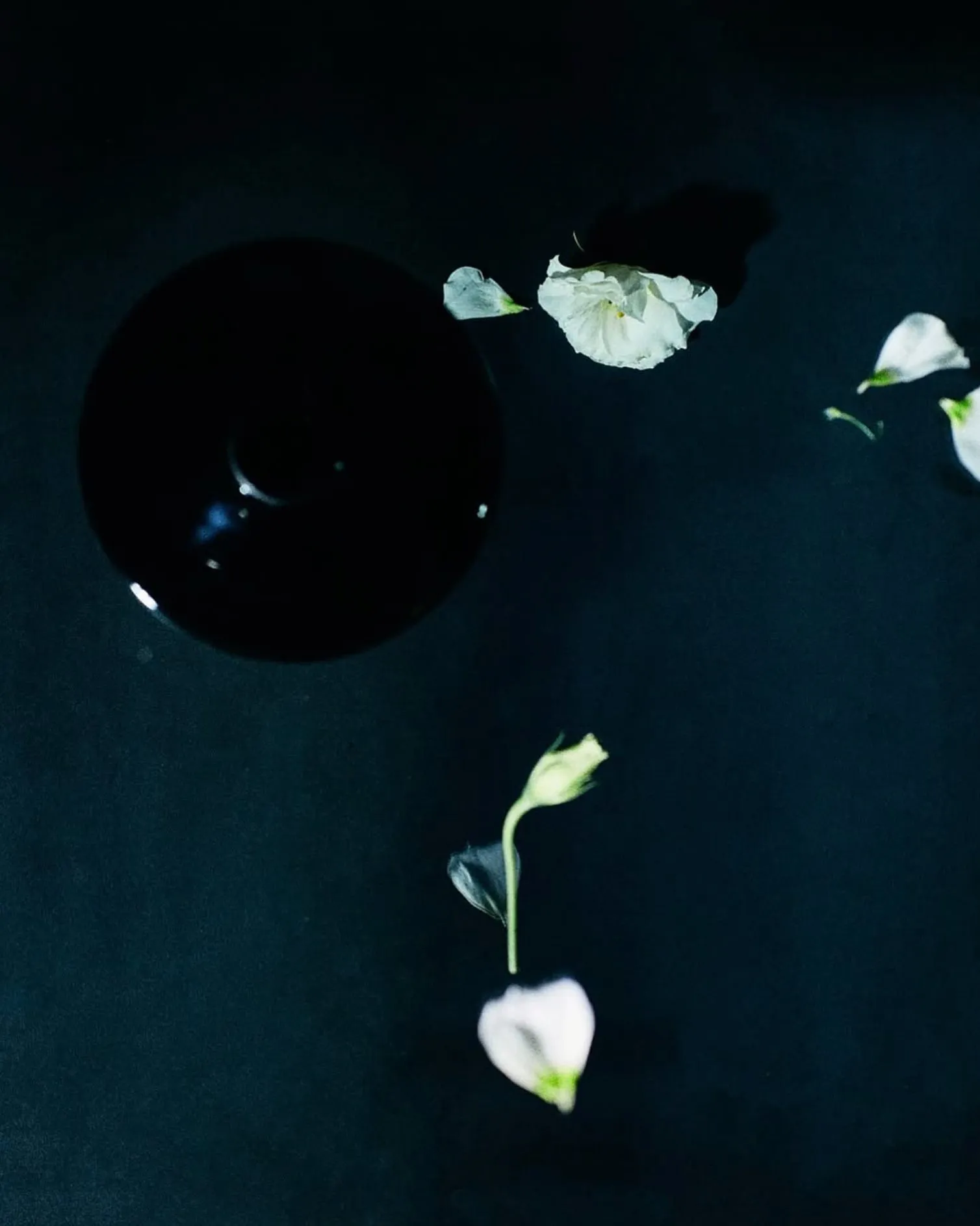 Flowers Analogue Film