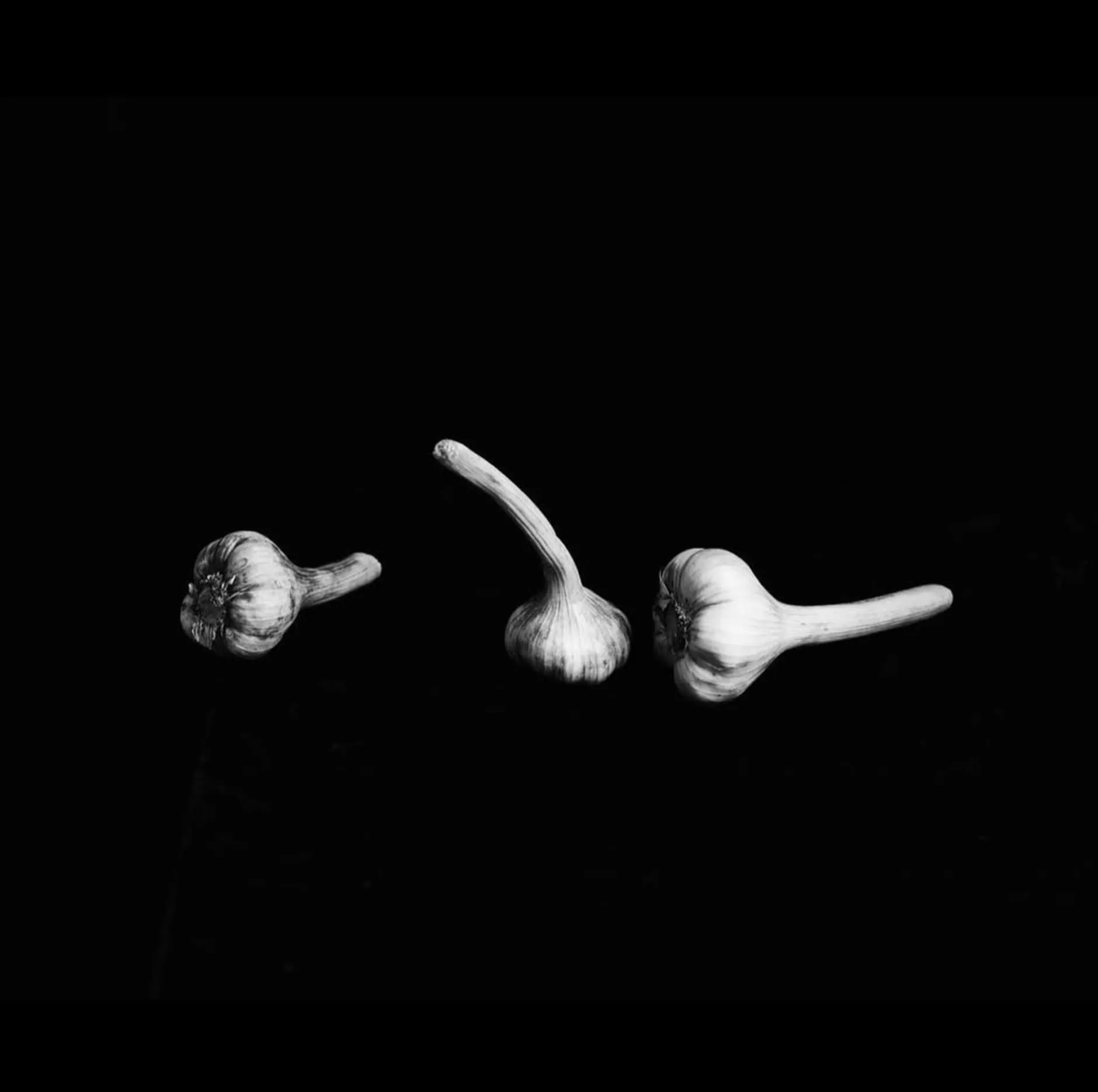 Garlics Analogue Film