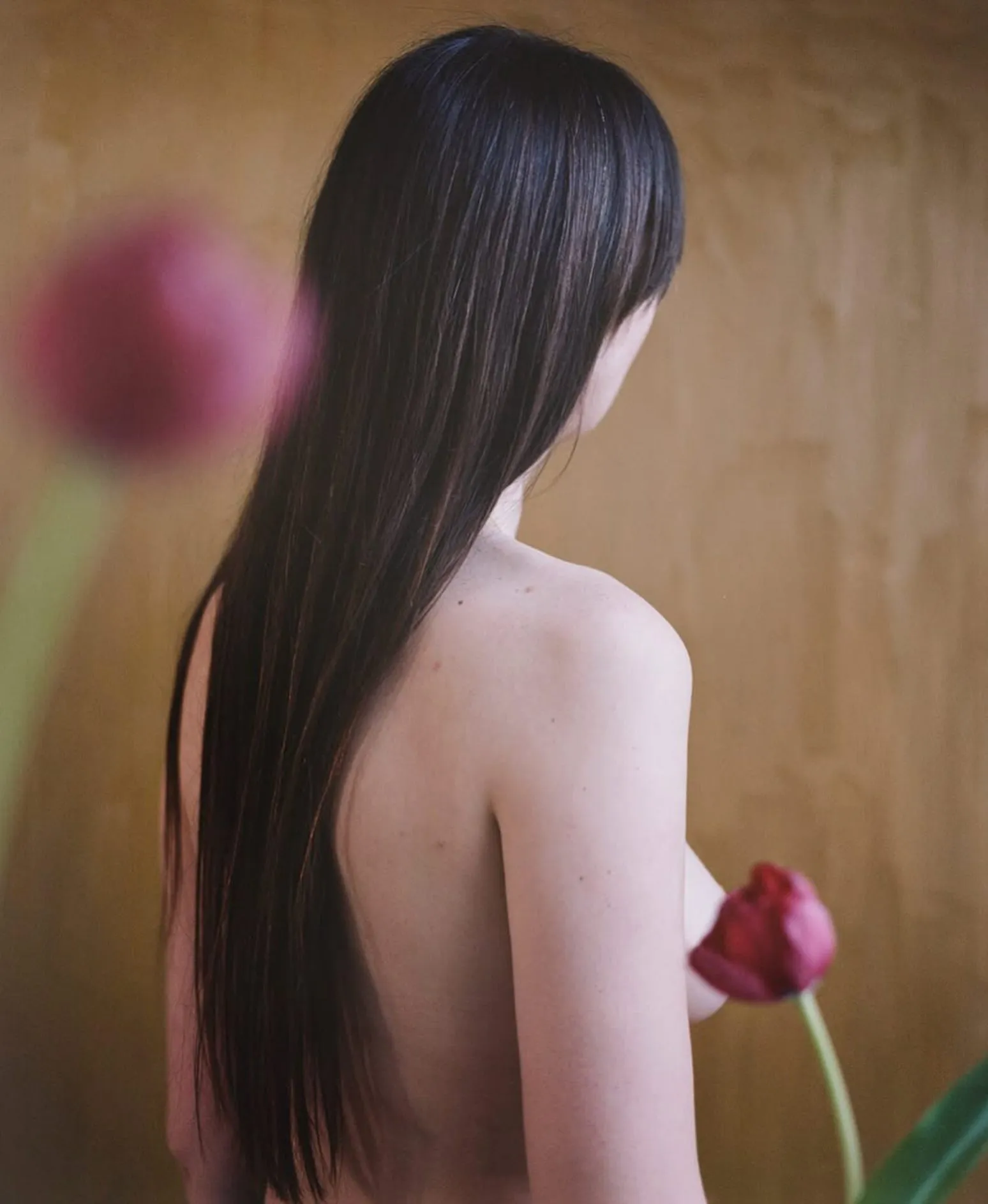 Julia Tulips Analogue Film