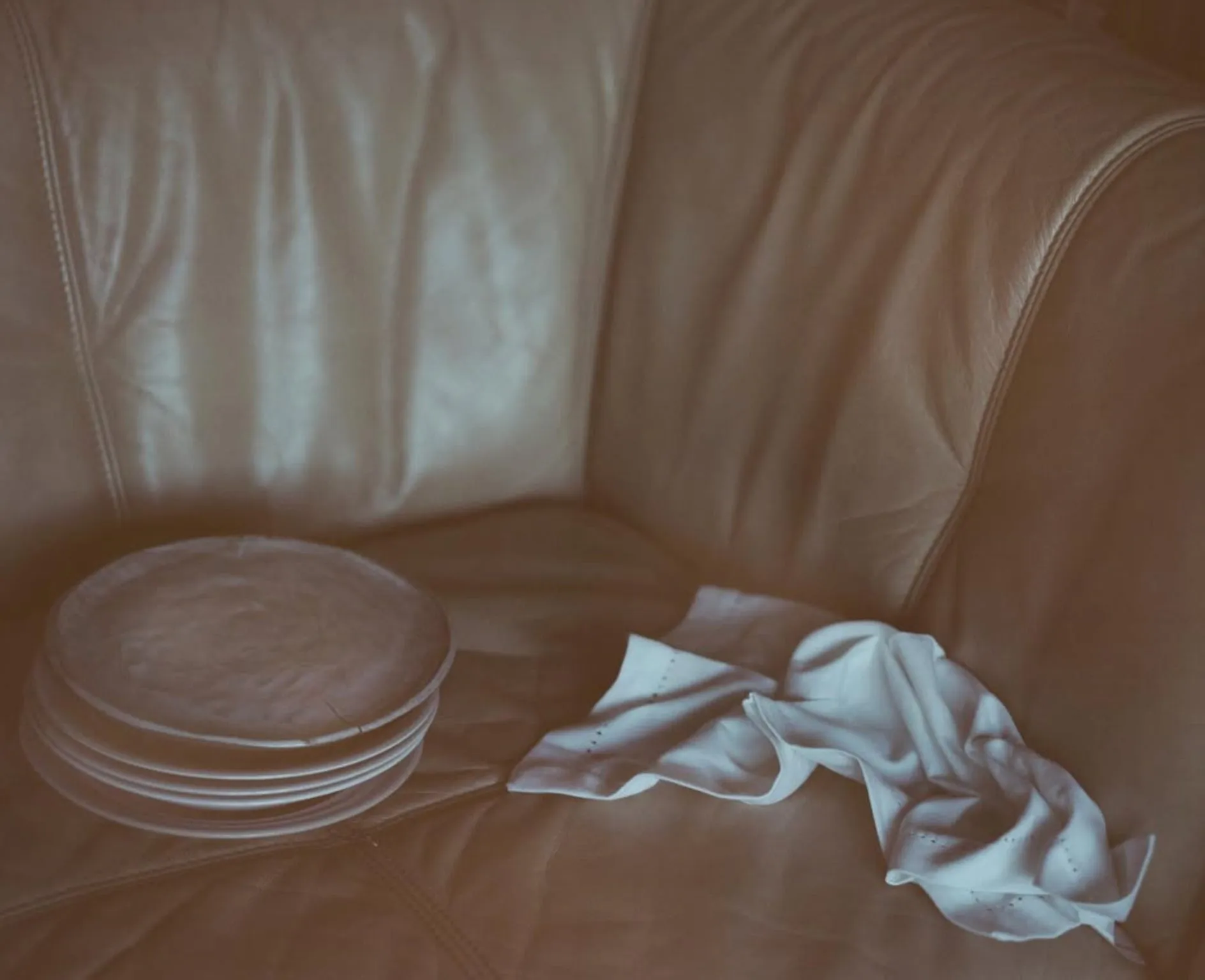Leather Sofa Analogue Film
