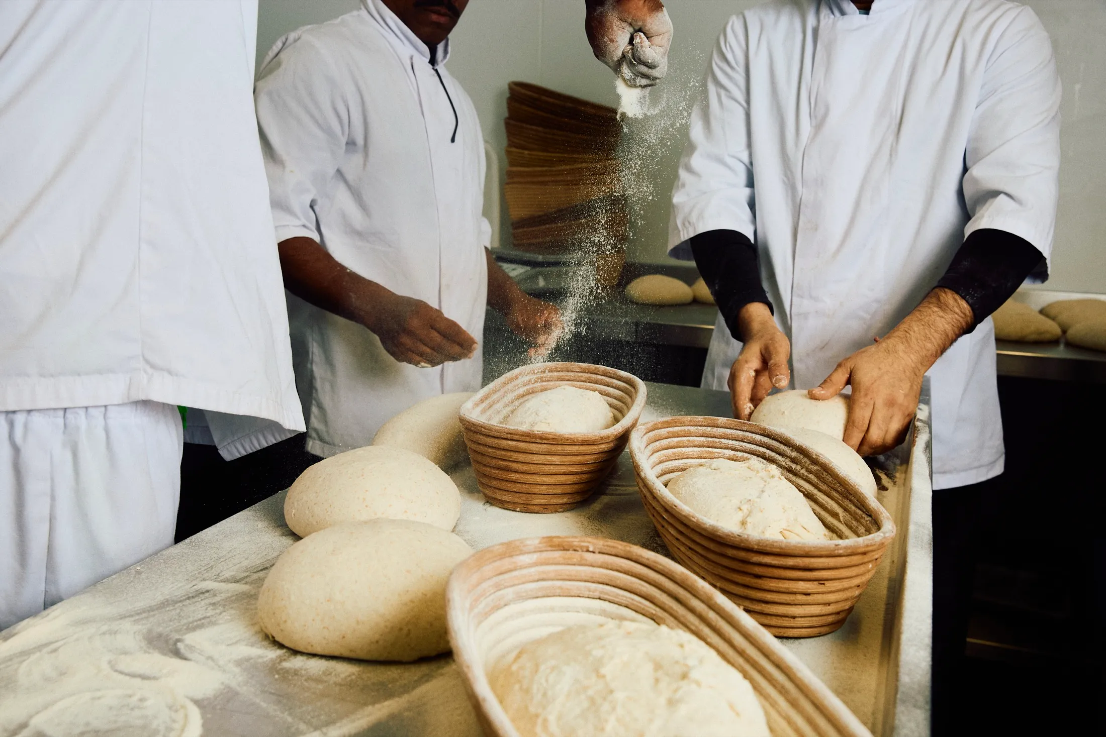 Making Sourdough Loaves Galeta