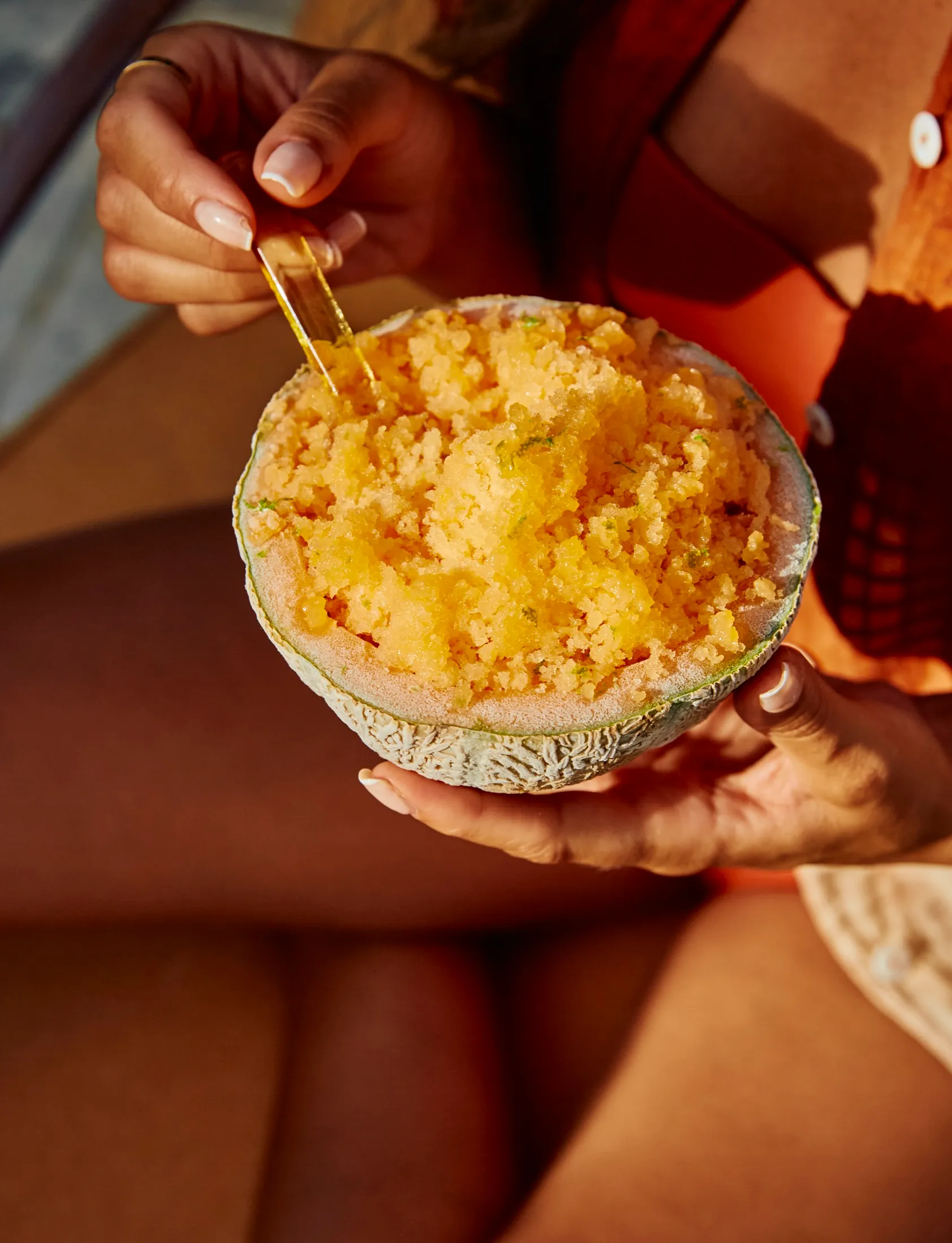 Melon Granita At Home In Provence Book
