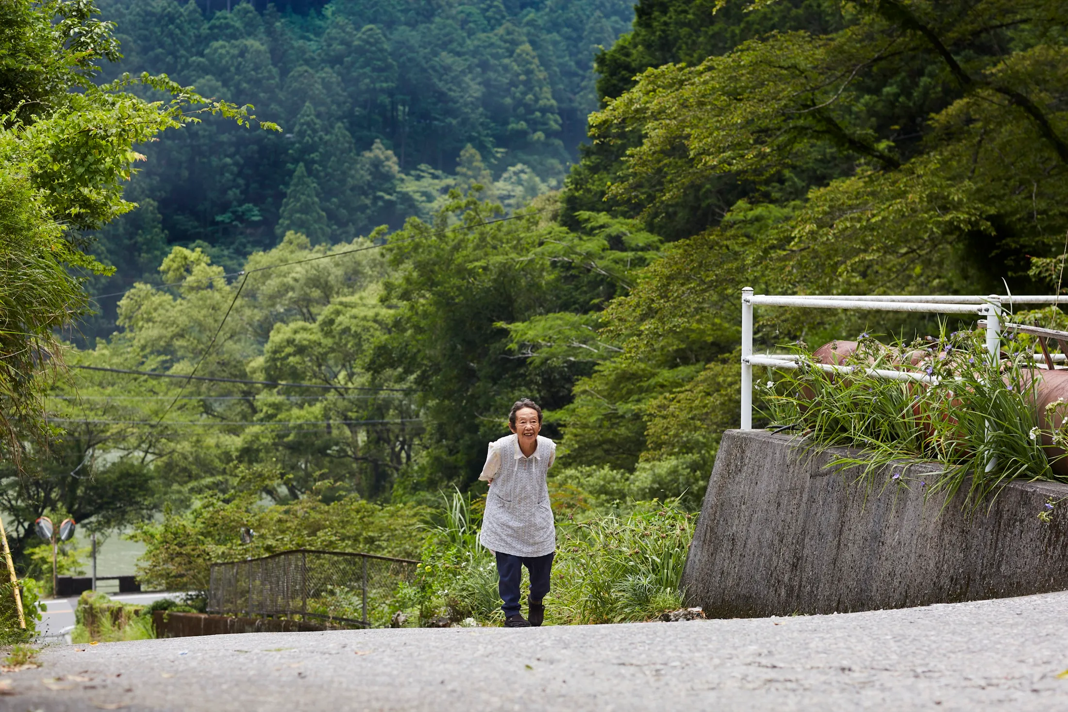 Mountain Tea Stories Japan Book
