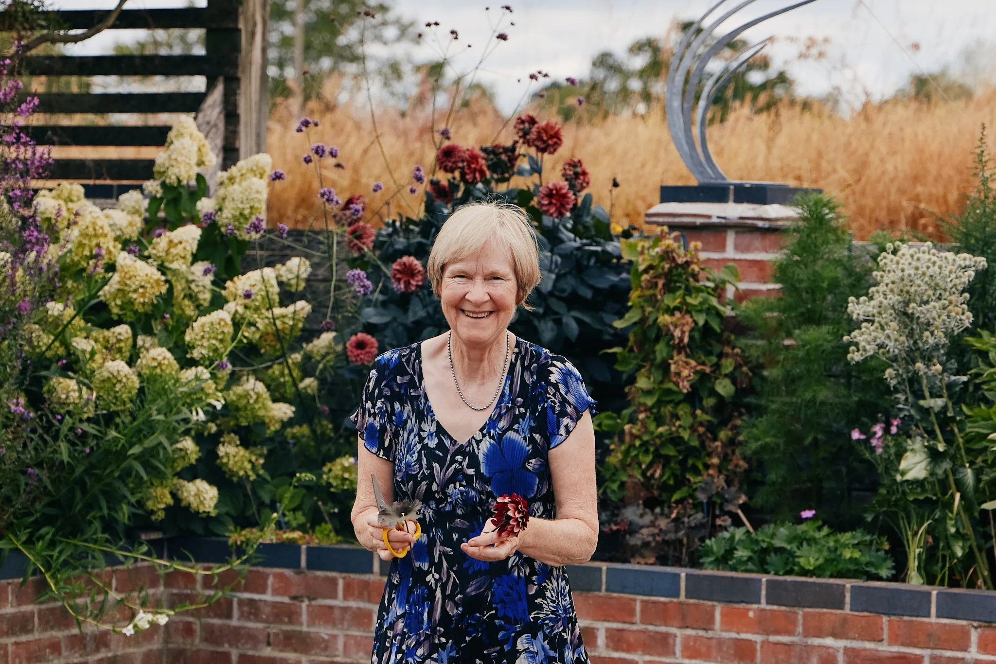 My mother laughing in her garden, secateurs in one hand and a cut dark red dahlia in the other, hydrangeas and grasses behind her.