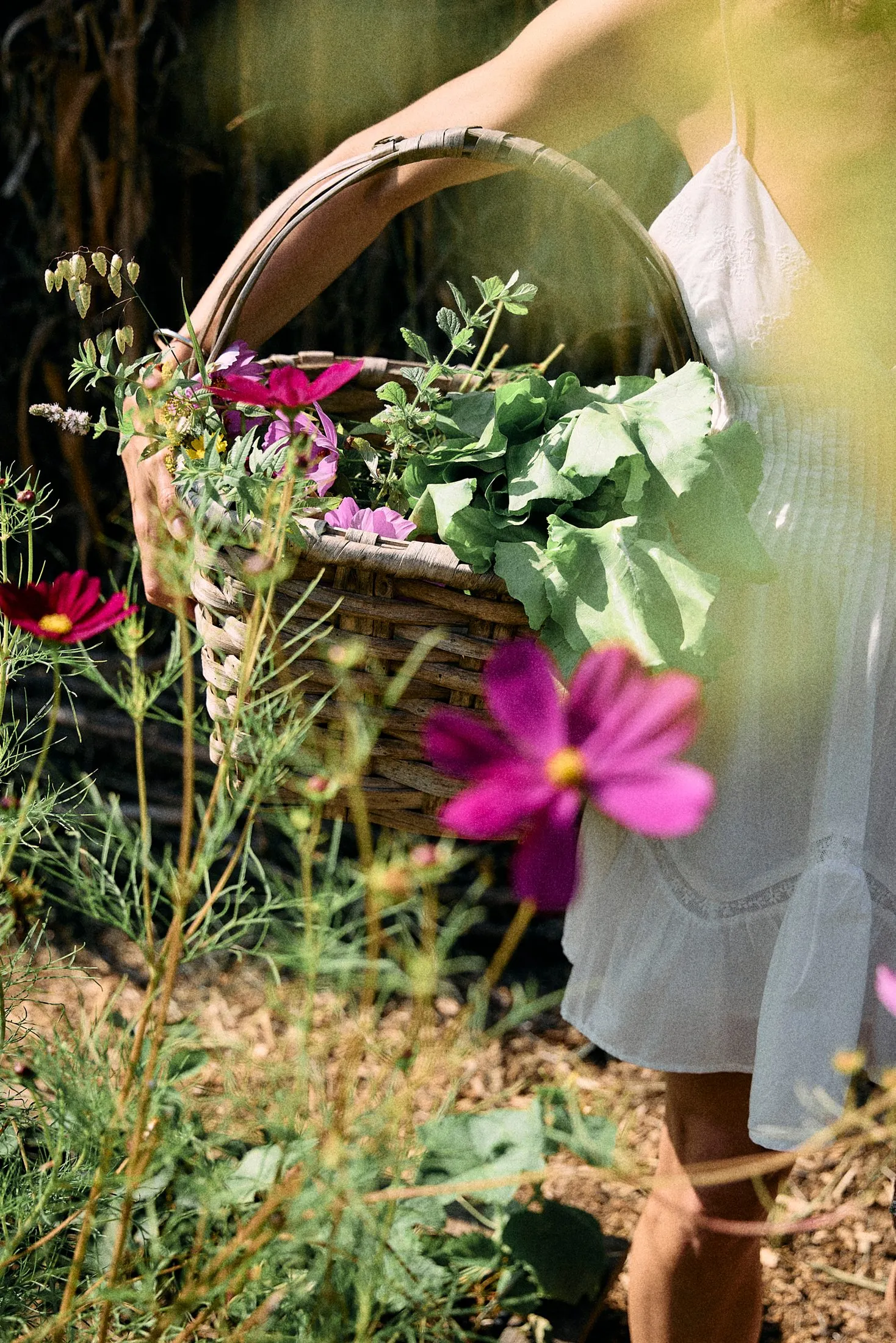 Picking Flowers Quinta Kismet Lifestyle