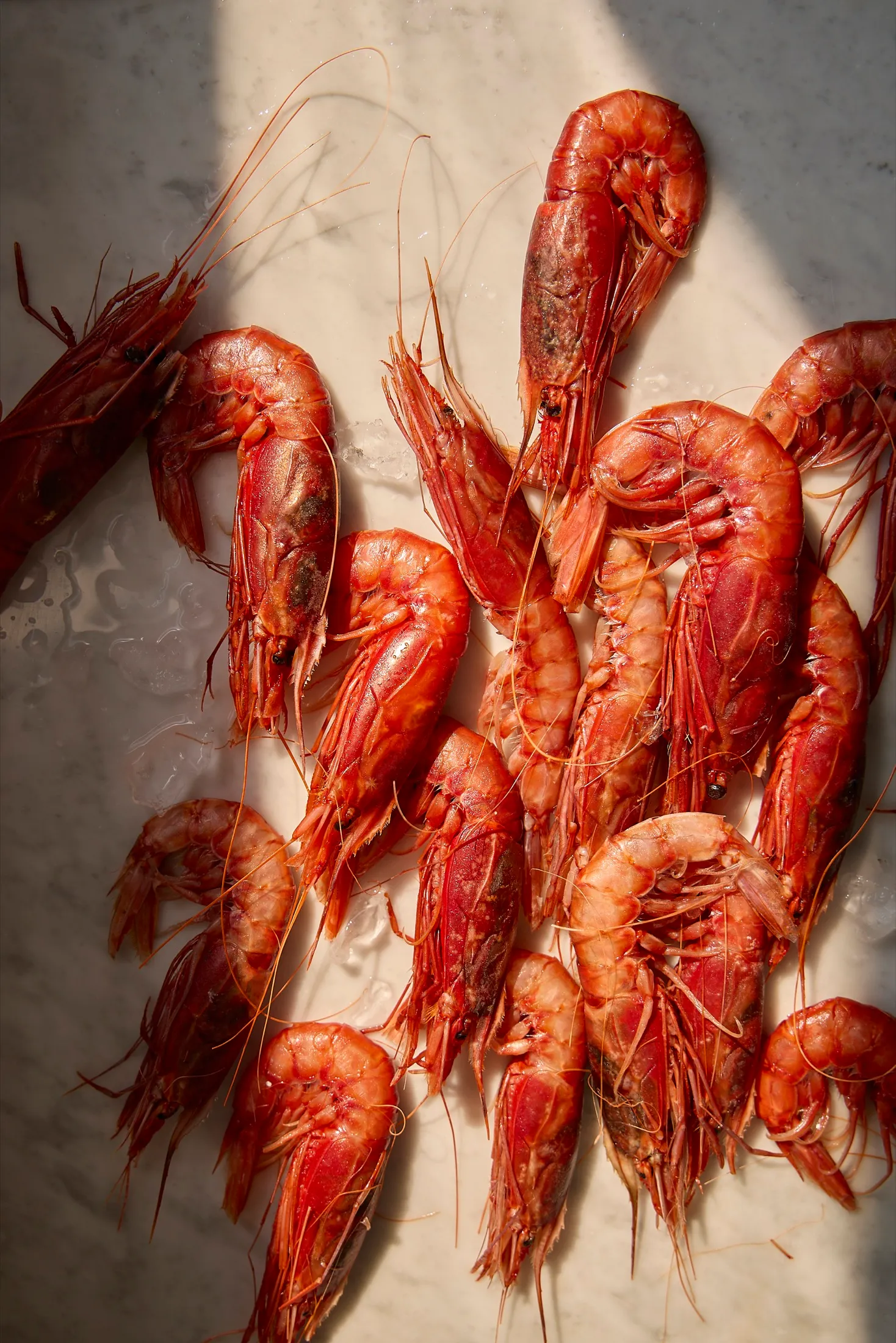 Prawns Lisbon