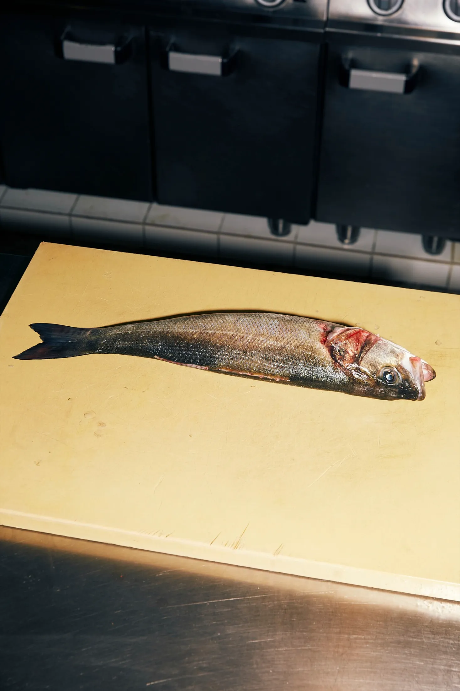 Preparing Fish Harry Cummins La Mercerie
