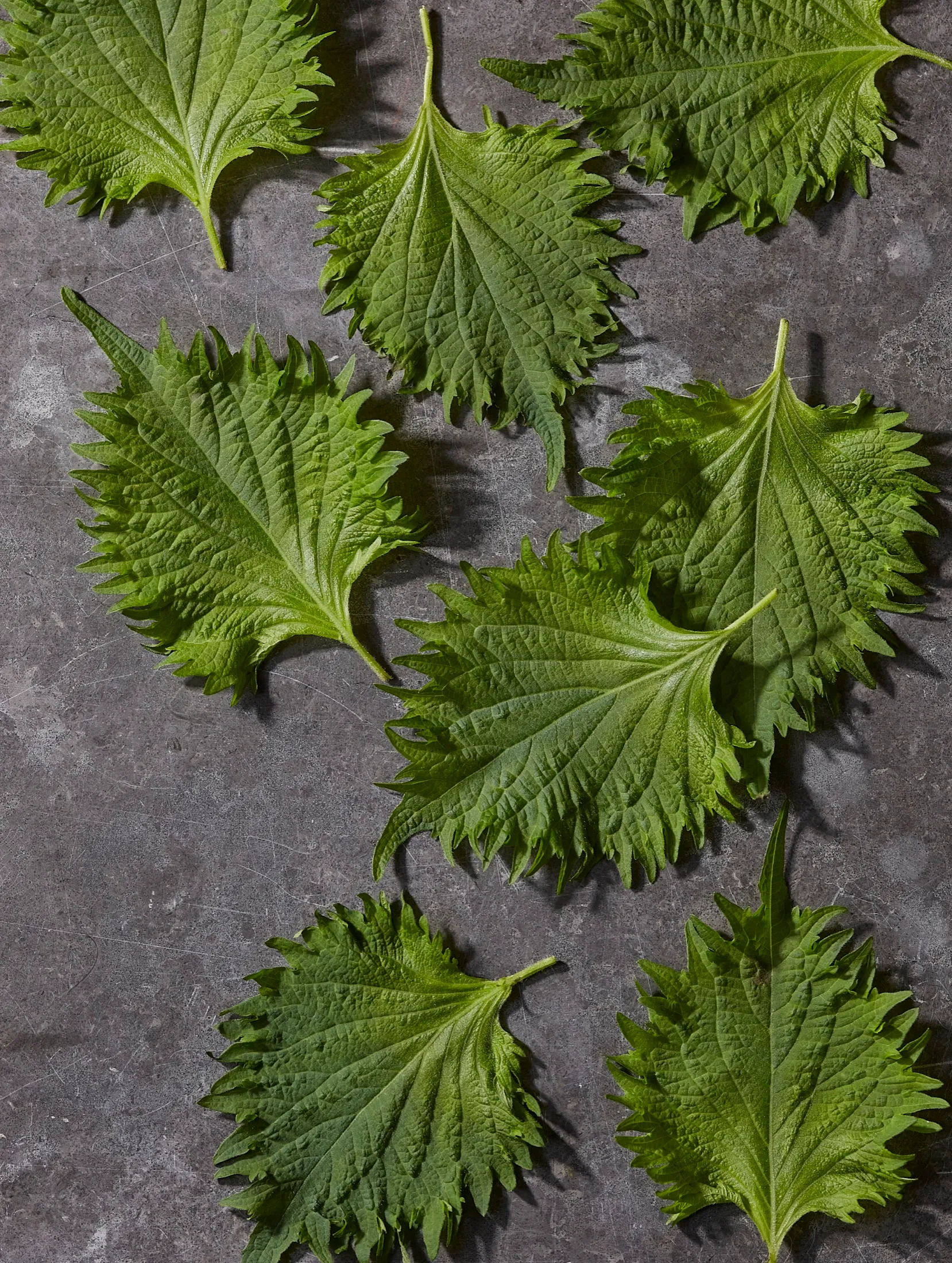 Shiso Leaves Umai Millie Lagare Cookbook