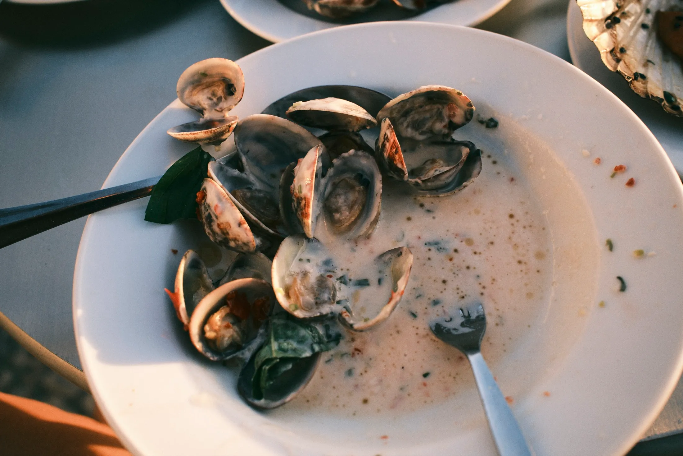 Spicy Clams Lisbon