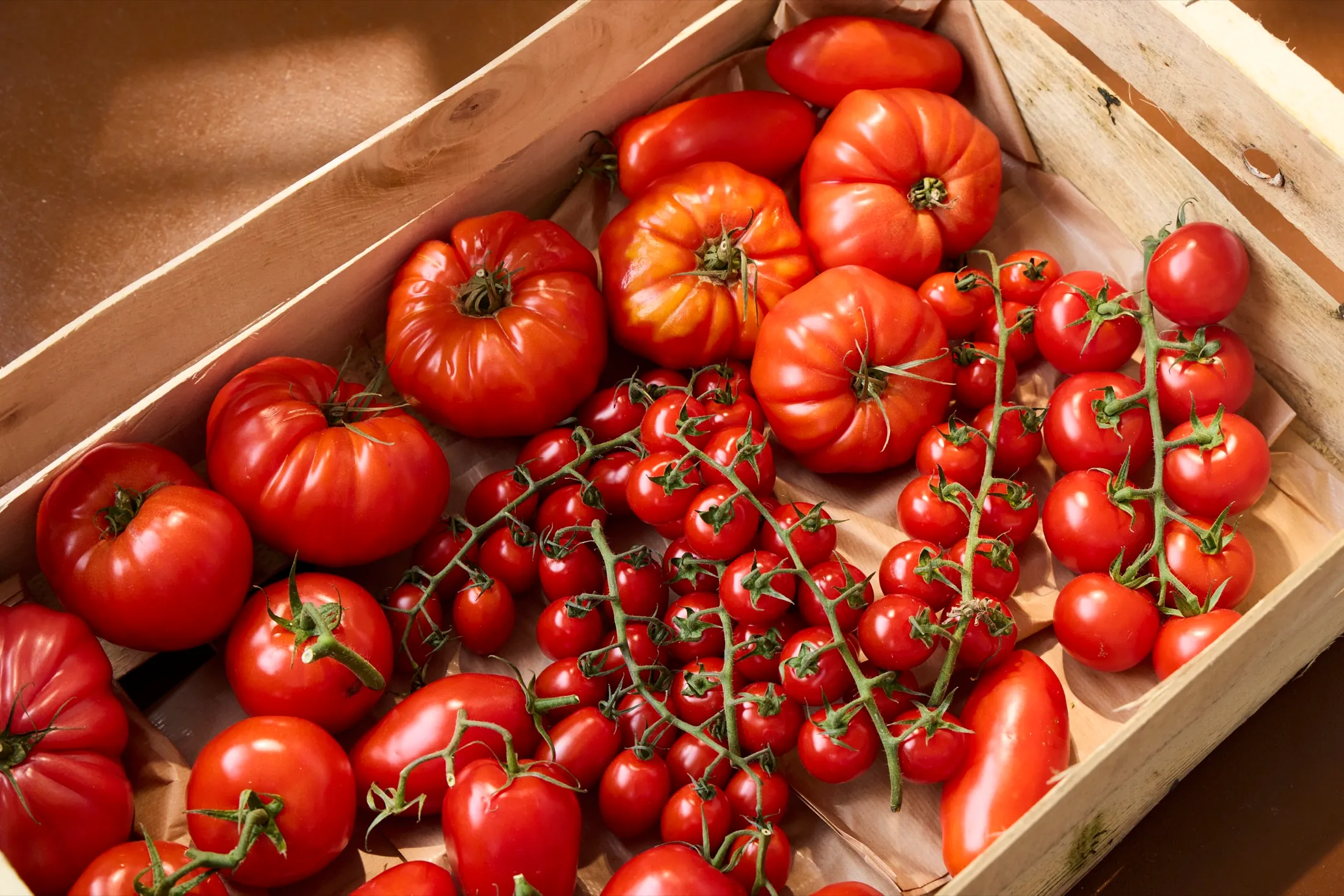 Tomatoes Barilla