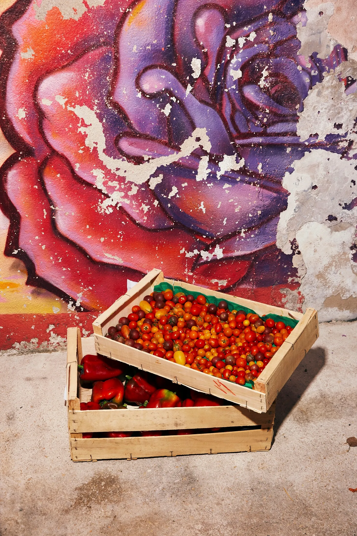 Tomatoes Harry Cummins La Mercerie